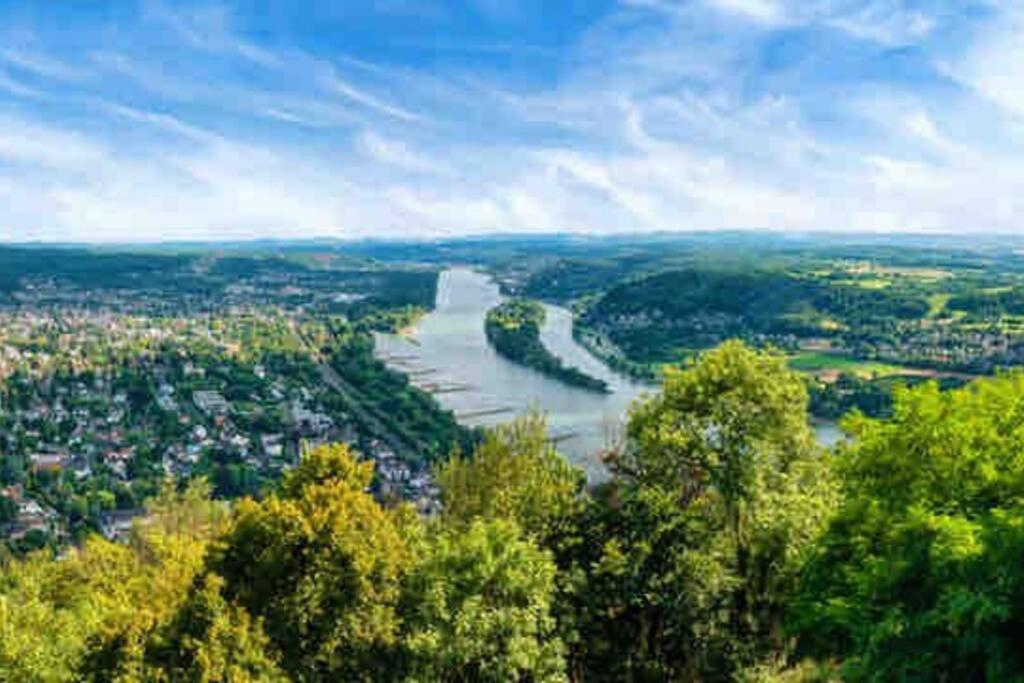 Ferienwohnung In Rheinnaehe 라인브라이트바크 외부 사진